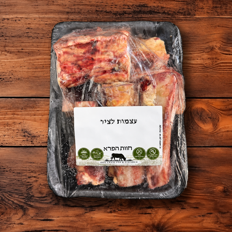 עצמות לציר