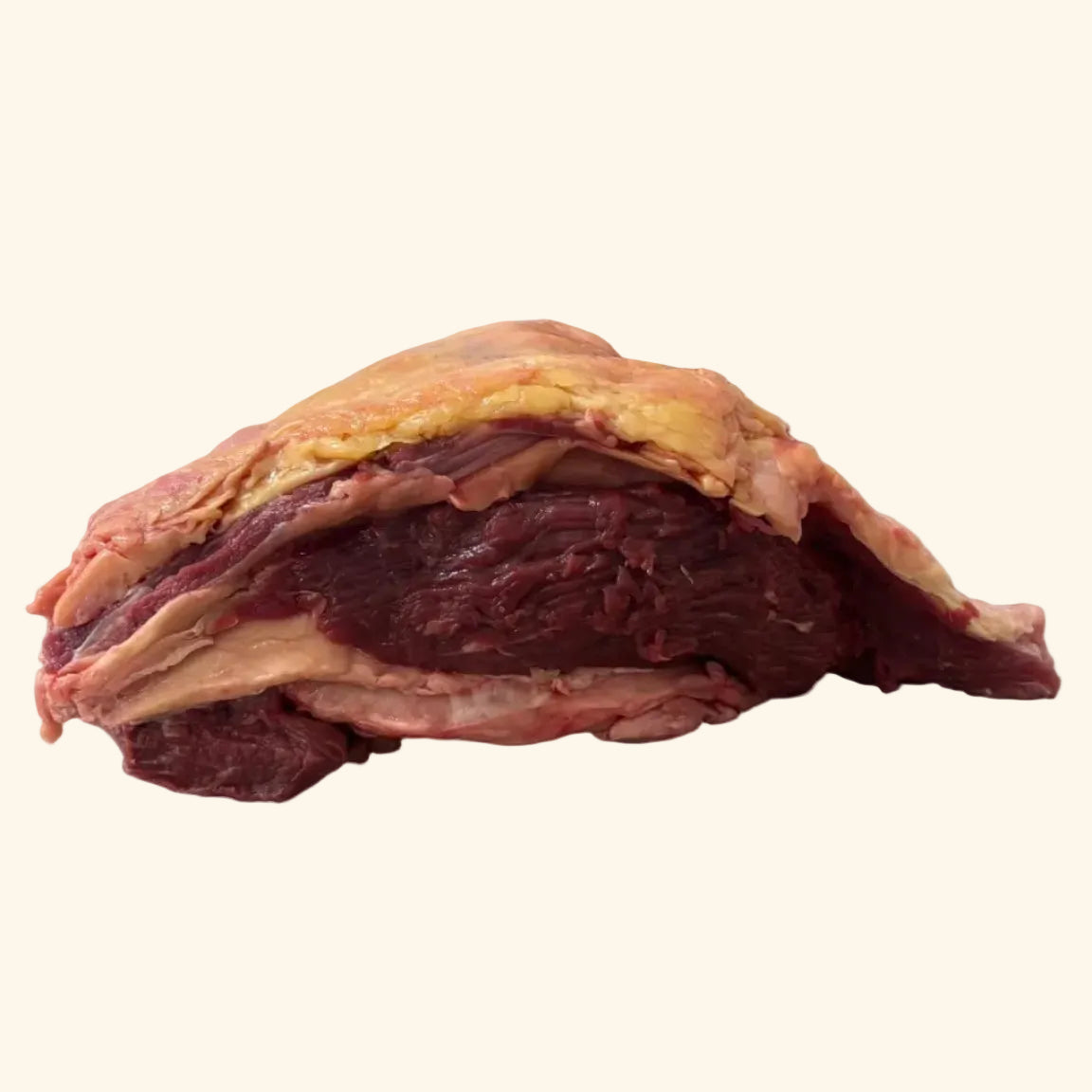 שפיץ שייטל